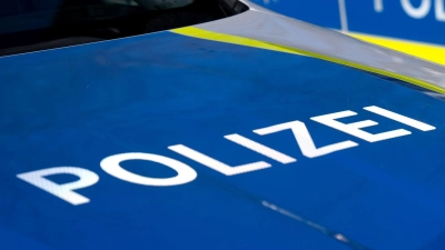 Die Polizisten stellten bei der Kontrolle fest, dass dem 56-Jährigen sein Führerschein erst im Mai abgenommen worden war. (Symbolbild) (Foto: Sven Hoppe/dpa)