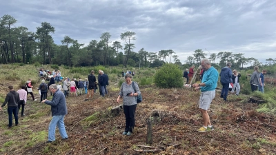 Diese Parzelle im Pignada-Wald im südwestfranzösischen Anglet ist den Menschen in Ansbach gewidmet. Der große Brand im Sommer des Jahres 2020 sorgte zum Beispiel hier für große Schäden. Davon konnten sich Gastgeber und Gäste aus der Partnerstadt in Deutschland bei dem Jubiläumsbesuch überzeugen. (Foto: Oliver Herbst)