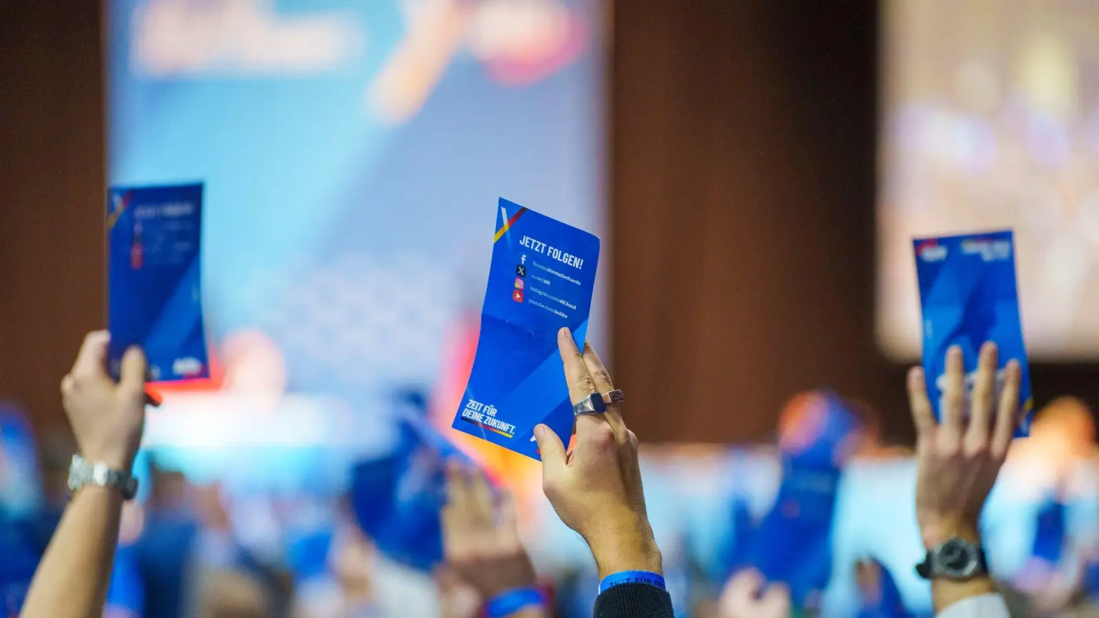 Die Delegierten stimmten für die Gründung der neuen Organisation.  (Foto: Andreas Arnold/dpa)