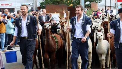 Auch Alpakas sind dabei: Alpabzug in Plaffeien. (Foto: Verena Wolff/dpa-tmn)