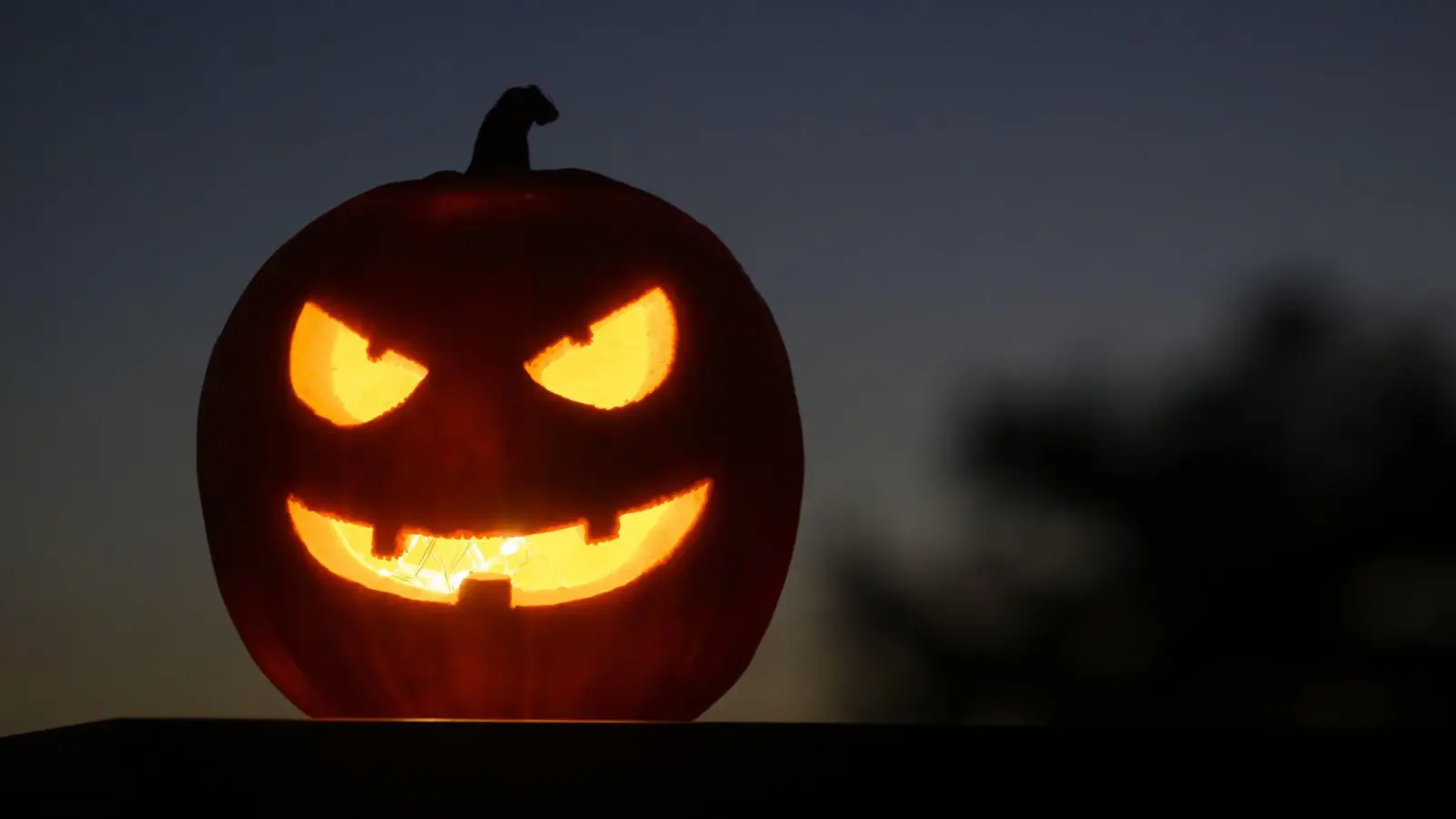 Halloween findet traditionell am 31. Oktober statt. (Archivbild) (Foto: Laurent Gillieron/KEYSTONE/dpa)