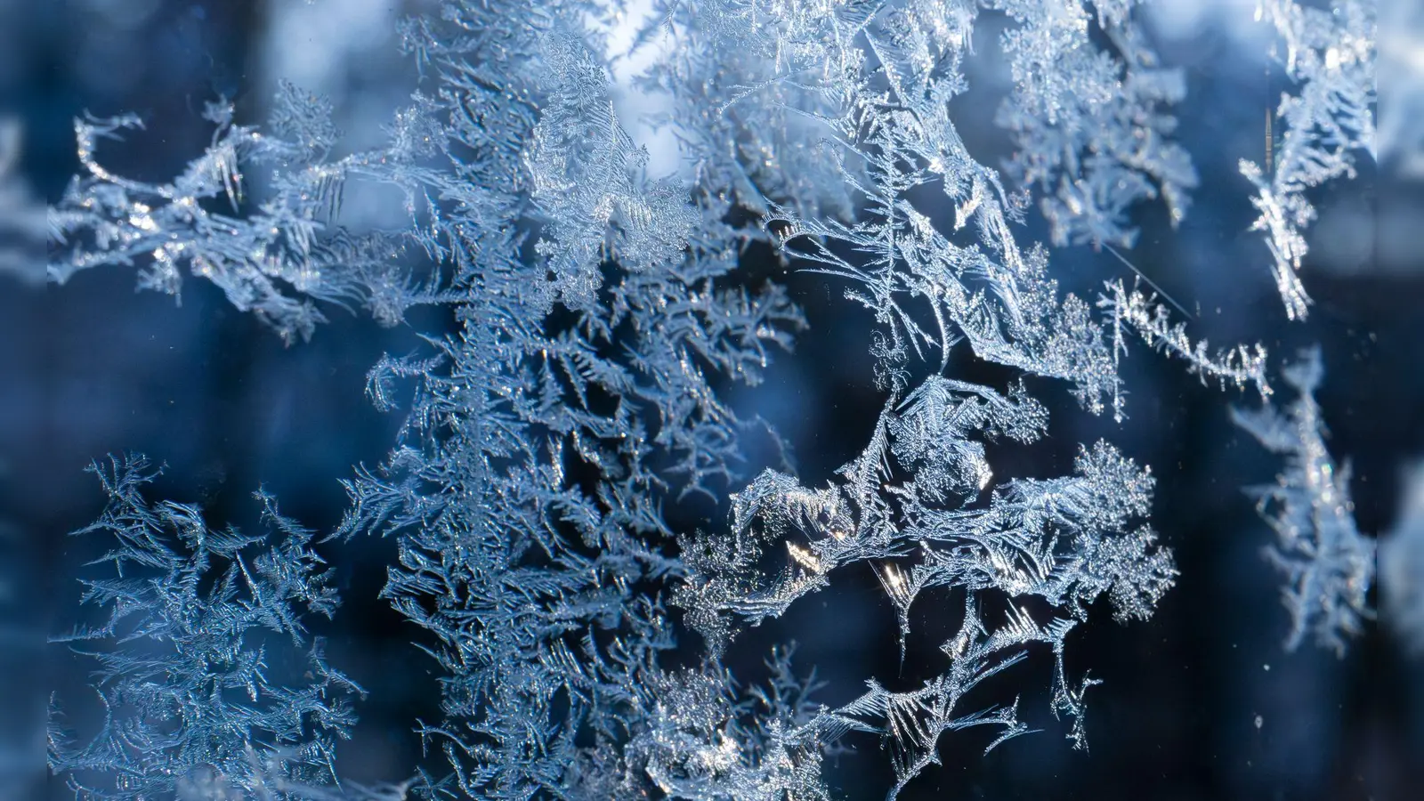 Auch die nächsten Tage muss in Bayern teils mit strengem Frost gerechnet werden. (Archivbild) (Foto: Peter Kneffel/dpa)
