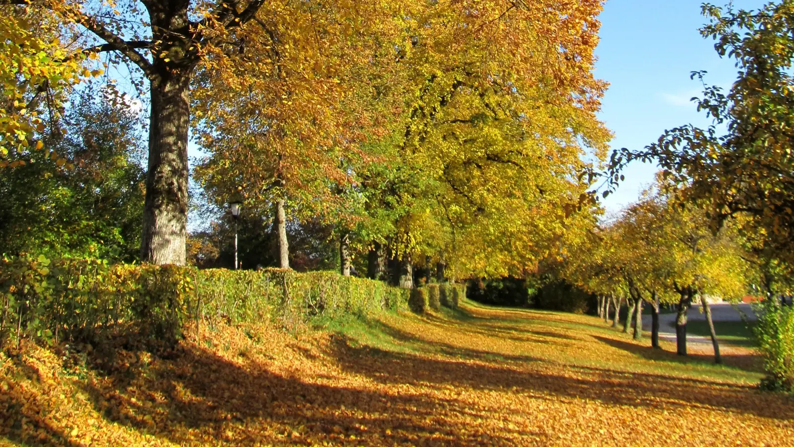 Alte Promenade in Dinkelsbühl. (71 Stimmen) (Foto: Carola Gaar)