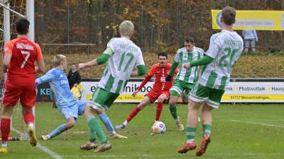 Hochbetrieb im Strafraum der Sportfreunde Hofstetten, wo Torwart Simon Rölz und (in Grün von links) Christian Graf, Jonas Schuster und Robin Wölfel im Verteidigungsmodus sind. In Rot zwei der drei Dinkelsbühler Torschützen: Marco Wegert (links) und Mario Mändlein.  (Foto: Martin Rügner)