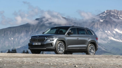 Großer kräftiger Bär: Solche Assoziationen mag der Name Kodiaq hervorrufen, doch ist der Skoda auch als Gebrauchter bärenstark? (Foto: Hans-Dieter Seufert/Skoda/dpa-tmn)
