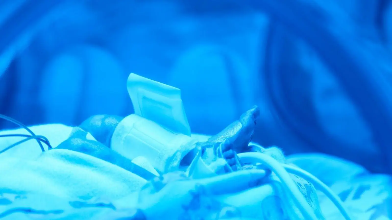 Zwei Jahre wird das Projekt in Nürnberg getestet, dann könnte die KI bayernweit eingesetzt werden. (Symbolbild) (Foto: Bernd Thissen/dpa)