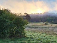 Herbstliche Morgenstimmung - gesehen in Neusitz. (Foto: Karin Schmidt)