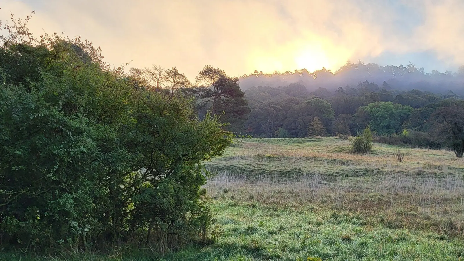 Herbstliche Morgenstimmung - gesehen in Neusitz. (Foto: Karin Schmidt)