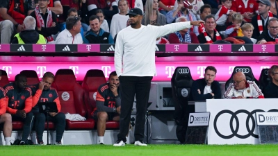 In der Hinrunde durfte sich Vincent Kompany in München über ein 5:0 gegen den Hamburger SV freuen. (Archivbild) (Foto: Sven Hoppe/dpa)