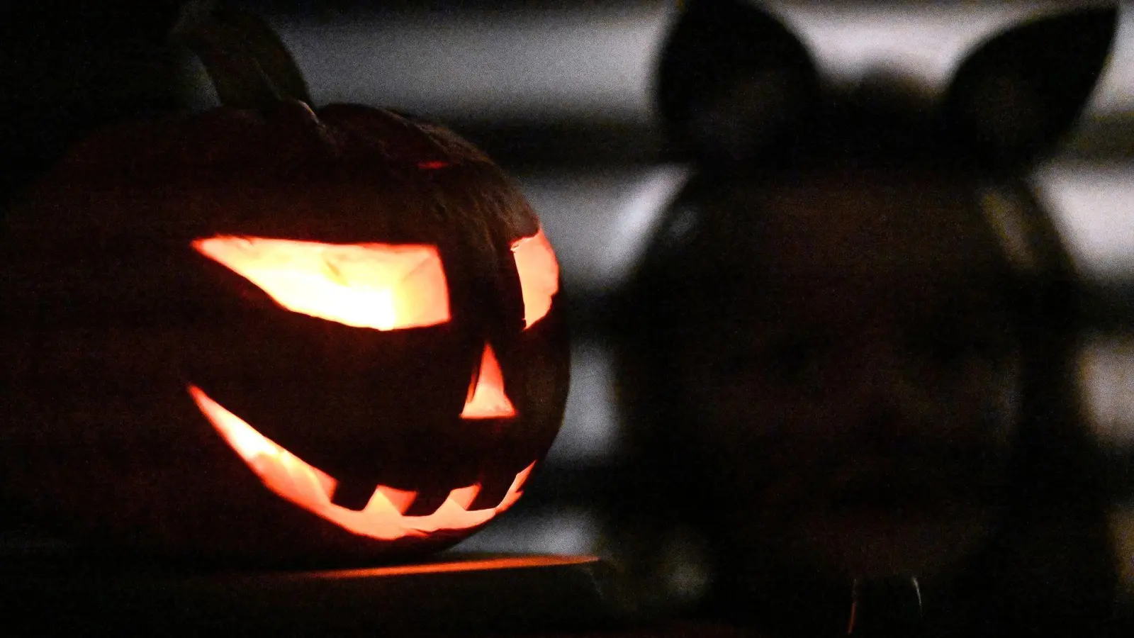Halloween wird auch in Deutschland gefeiert. (Foto: Swen Pförtner/dpa)