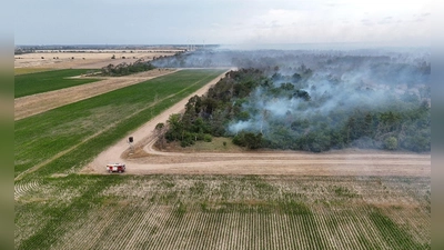 Wegen des Waldbrands in der Gohrischheide wurde Katastrophenalarm ausgelöst. (Foto: Sebastian Kahnert/dpa)
