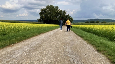 Hier soll einmal das Baugebiet Himmelweiher entstehen. Im Moment wird das Areal vor allem von Spaziergehenden genutzt. (Foto: Clarissa Kleinschrot)