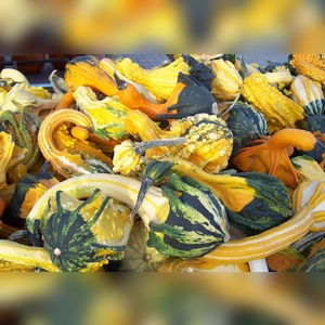 Bunte Herbststimmung ... - gesehen in Uehlfeld (Foto: Cornelia Voigt)