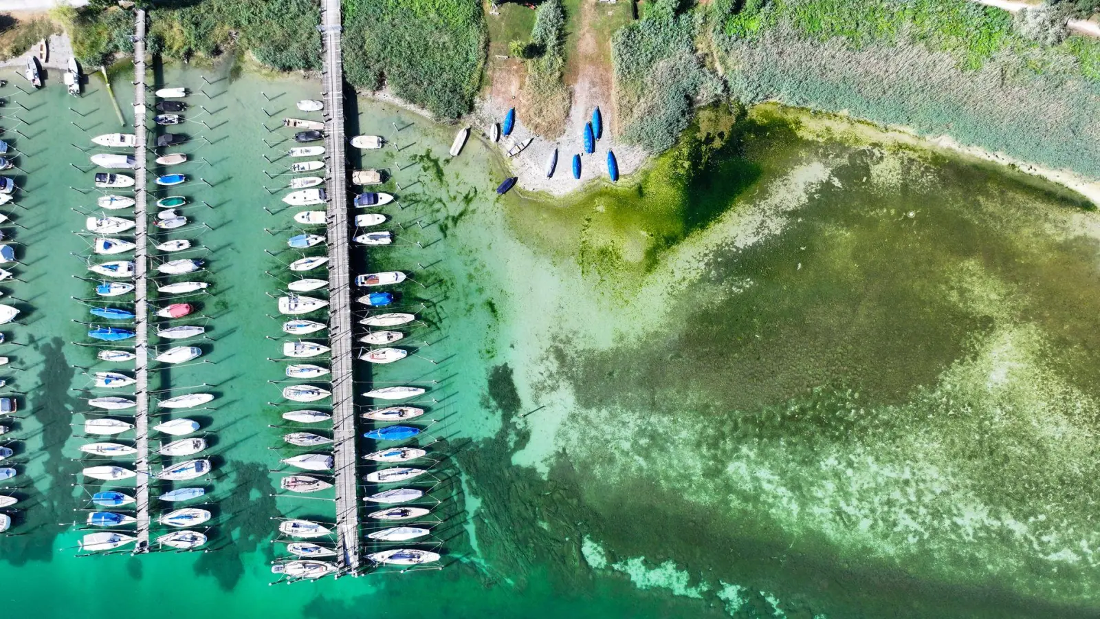 Das Niedrigwasser hat schon erste Auswirkungen.  (Foto: Felix Kästle/dpa)