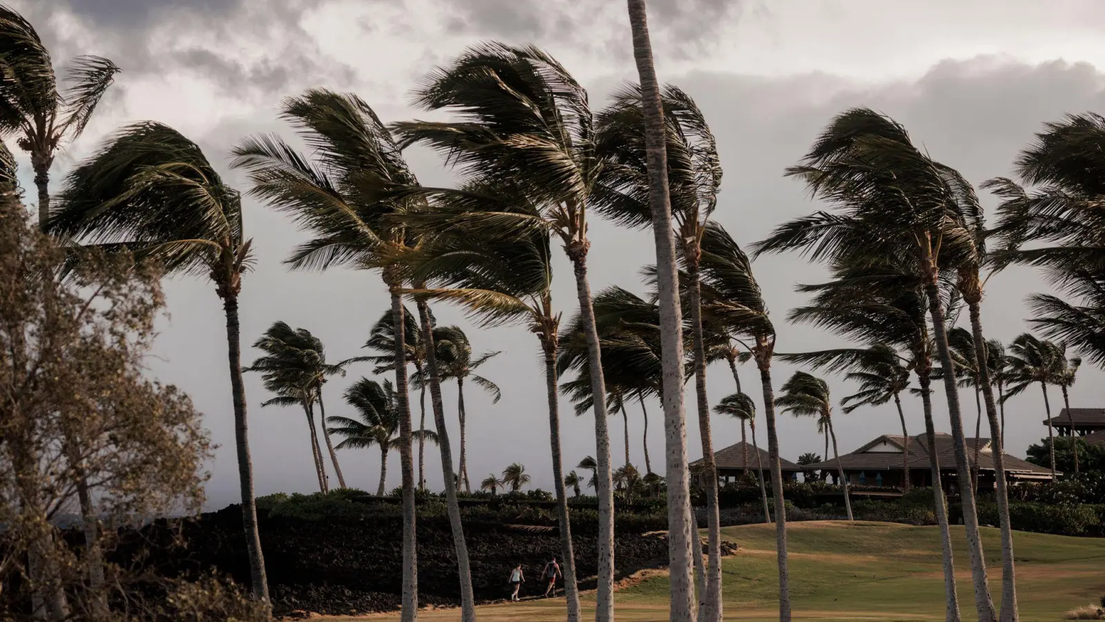 Der Sturm „Lala“ hat sich unmittelbar vor Hawaii zu einem Hurrikan verstärkt und sorgt für Überschwemmungen, Stromausfälle und Straßensperren. (Foto: Stephen Lam/San Francisco Chronicle/AP/dpa)