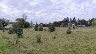 Auf diesem Gelände soll die neue Doppelturnhalle des Johann-Sebastian-Bach-Gymnasiums Windsbach errichtet werden.  (Foto: Thomas Schaller)
