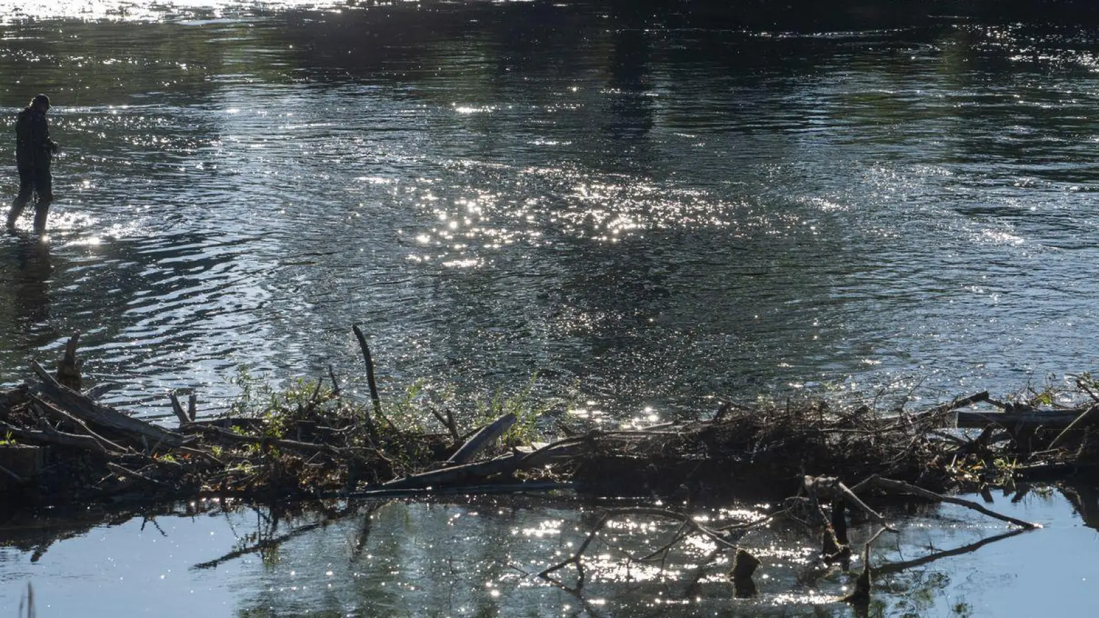 In der Isar setzte das Bayerische Landesamt für Umwelt rund 40.000 Fische aus. (Symbolbild) (Foto: Stefan Puchner/dpa)