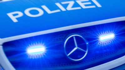 Die Polizei ermittelt nach möglichem Schuss auf eine Katze. (Symbolbild)  (Foto: Jens Büttner/dpa)