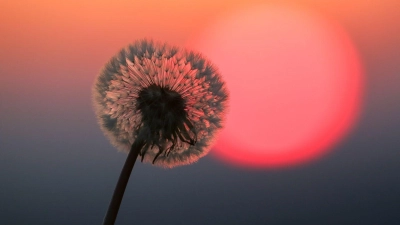 Ist es das schon? Viele Frauen sind sich anfangs unsicher, ob das nun schon der Beginn der Wechseljahre ist.  (Foto: Thomas Warnack/dpa/dpa-tmn)