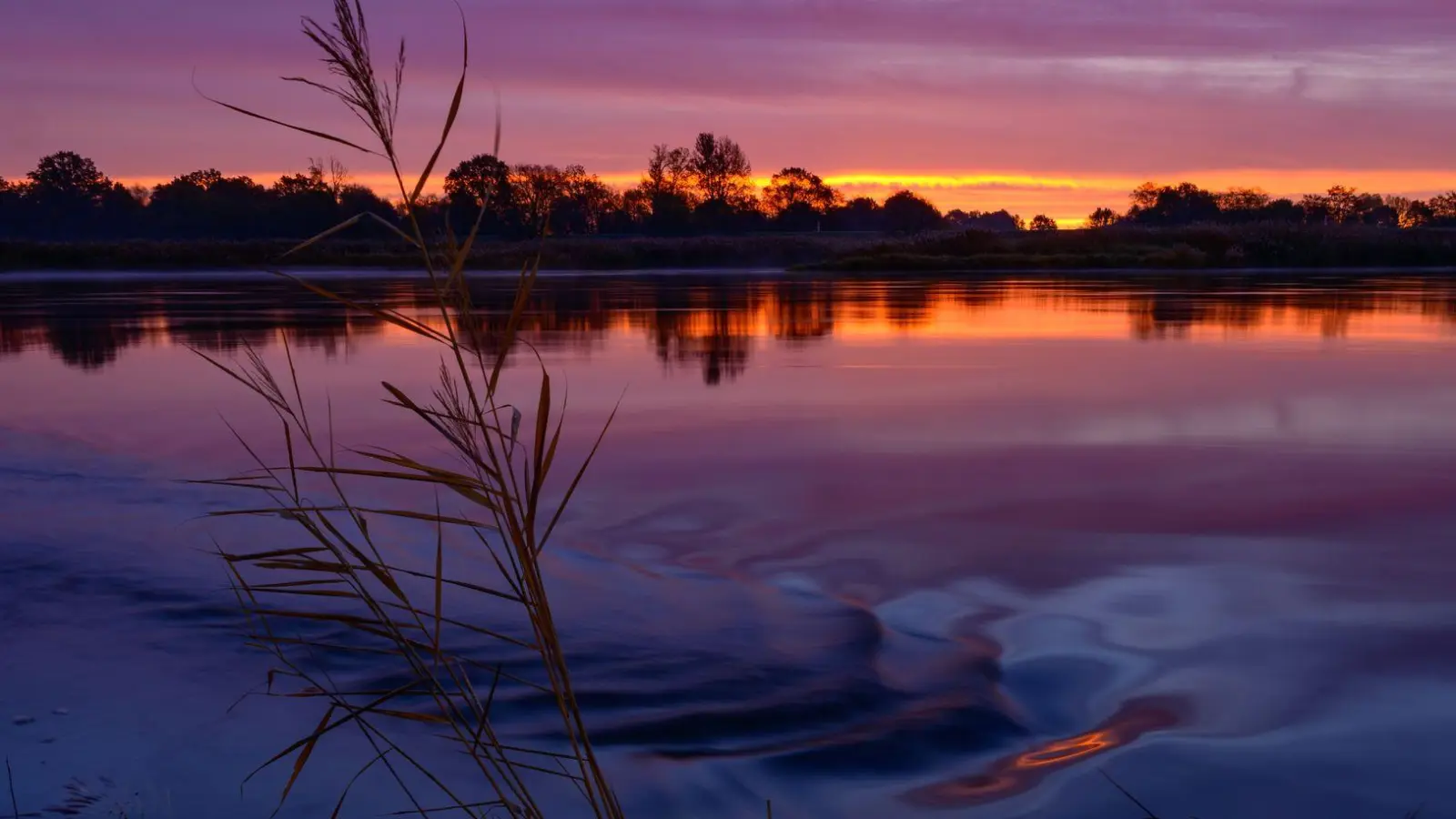 Der herbstliche Sonnenaufgang spiegelt sich auf der Oder in Brandenburg. (Foto: Patrick Pleul/dpa)