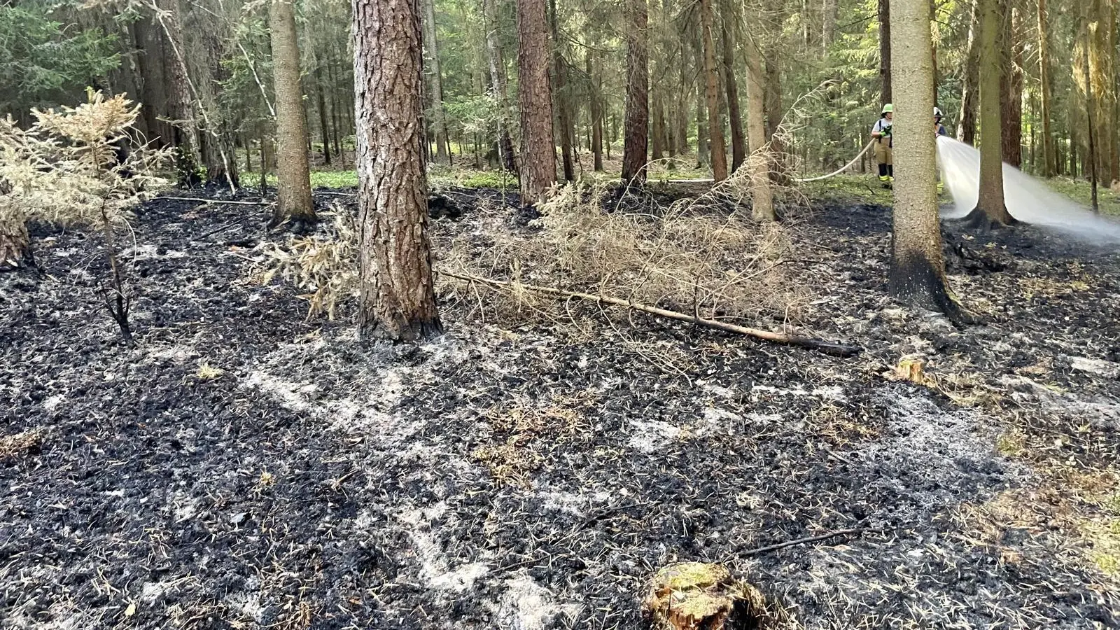 Das Feuer leistete ganze Arbeit: So sah der Brandort Wald am Samstagabend aus. (Foto: Feuerwehr Ansbach)