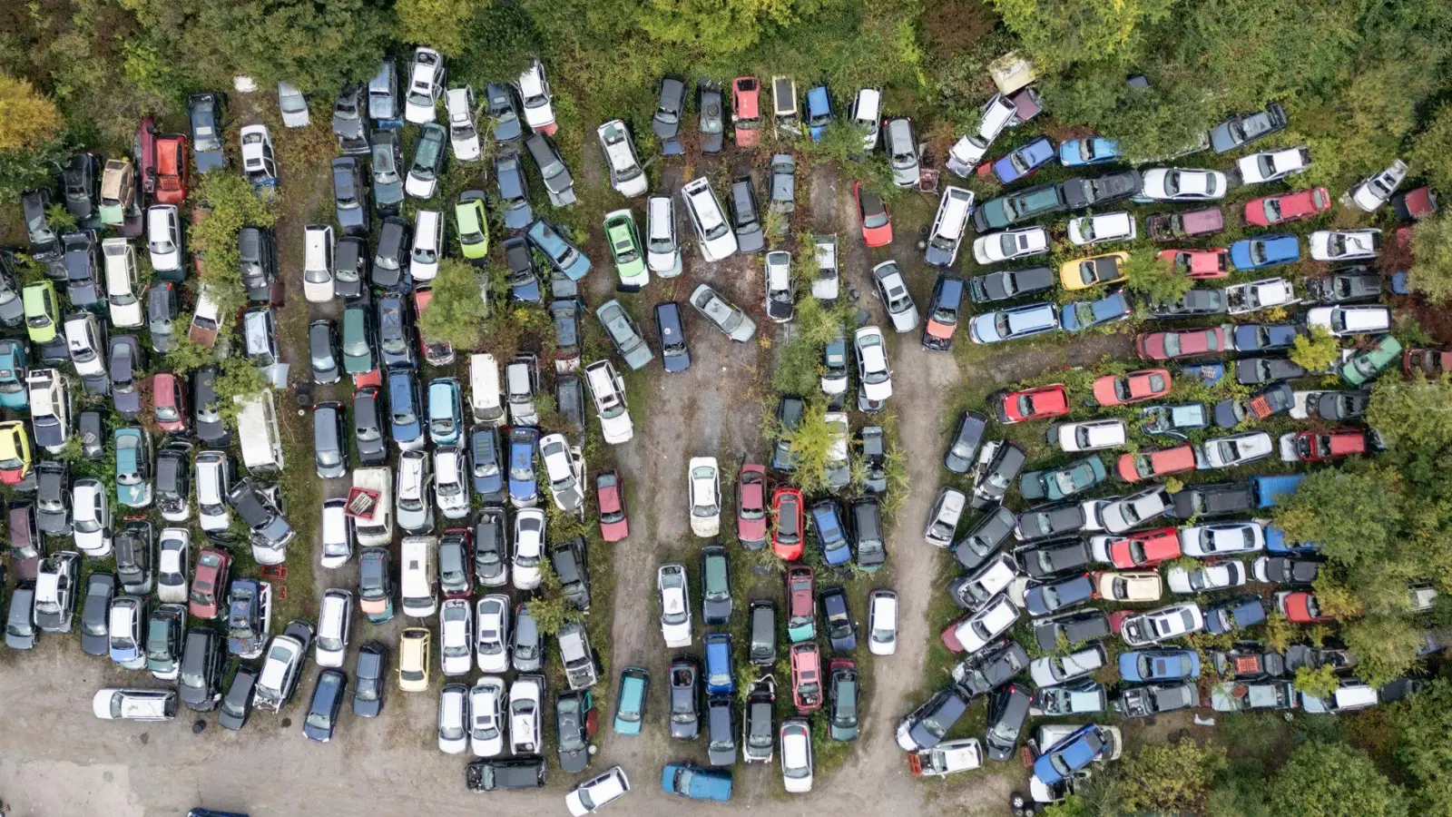 Eine Abwrackprämie kann einer neuen Studie zufolge zur Erreichung der Klimaziele beitragen. (Symbolbild) (Foto: Boris Roessler/dpa)