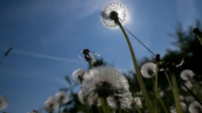 Es wird sommerlich in Bayern. (Archivbild) (Foto: Pia Bayer/dpa)