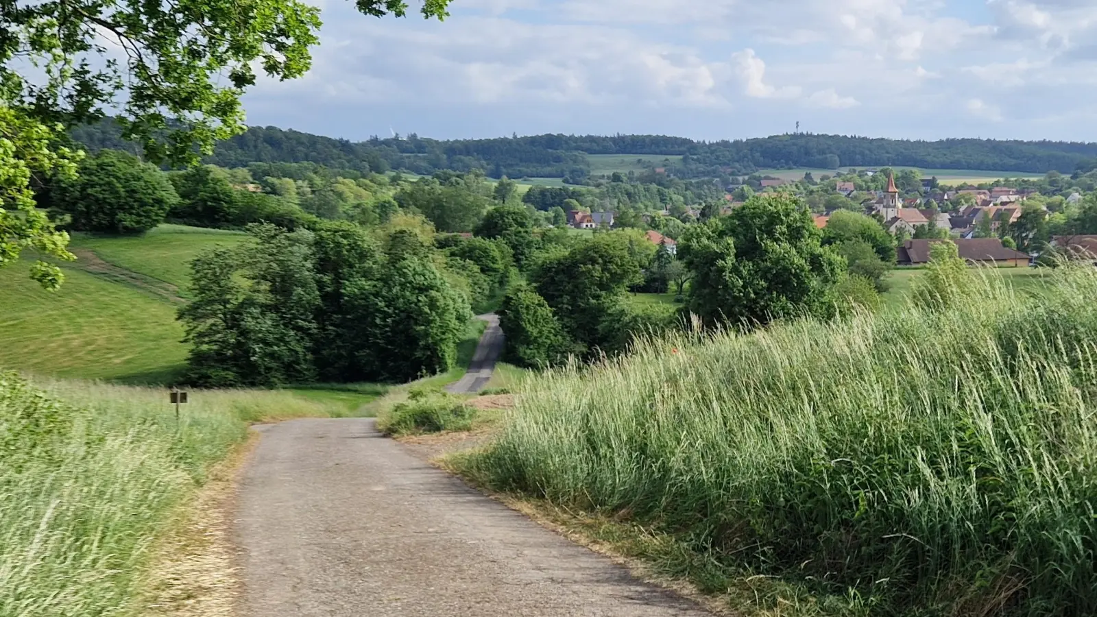 Eine Radwegverbindung von Satteldorf bis Schnelldorf befürwortet der Gemeinderat grundsätzlich. Unser Bild ist in der Nähe von Ellrichshausen entstanden. Es zeigt, wo die Strecke verlaufen könnte. (Foto: Friedrich Strohmeier)