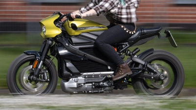 Bikes unter Strom: Elektrische Motorräder wie diese Harley-Davidson surren auf den Markt, aber worauf sollten Interessierte achten? (Foto: Boris Roessler/dpa/dpa-tmn)