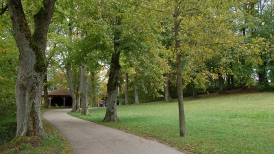 Am Rande des Dinkelsbühler Stadtparkes soll in der Nähe des Gradierwerkes (links im Hintergrund) ein eingezäunter Bereich entstehen, in dem Hunde unangeleint miteinander spielen können. (Foto: Markus Weinzierl)