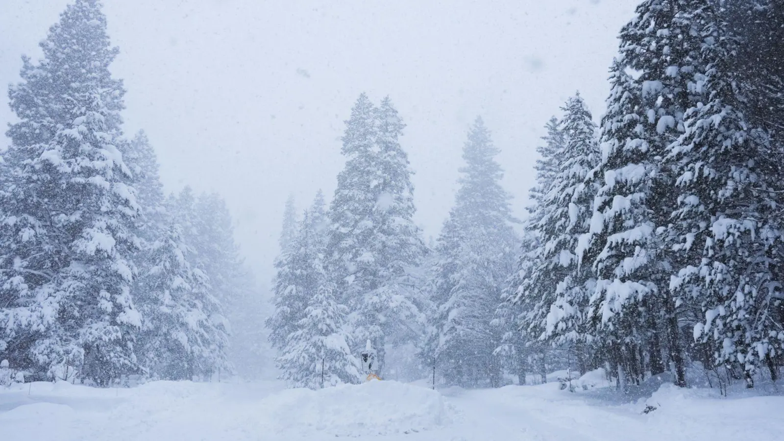 In Kalifornien ist viel Schnee gefallen. (Foto: Brooke Hess-Homeier/AP/dpa)