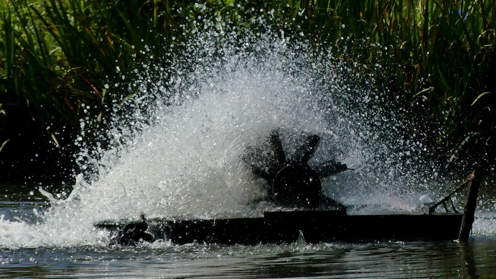 Da kommt Sauerstoff an die Fische - gesehen in Weidenbach. (Foto: Erich Kraus)