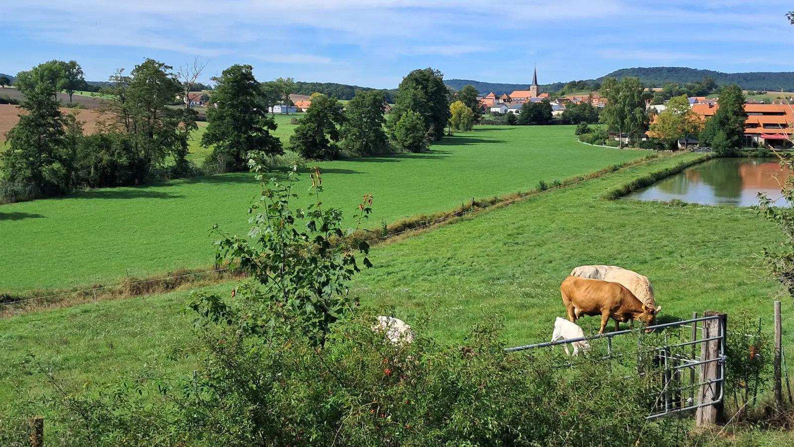 Spätsommer-Idylle – gesehen in Oberscheinfeld (Foto: Lukas Braun)