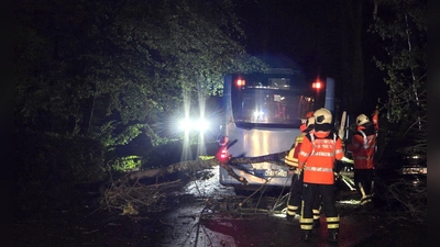Auf den Straßen sorgten umgestürzte Bäume und abgebrochene Äste für Behinderungen.  (Foto: Gianni Gattus/dpa)