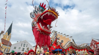 Der Chinesenfasching in Dietfurt ist in das bundesweite Verzeichnis des Immateriellen Kulturerbes aufgenommen worden. (Archivbild) (Foto: Armin Weigel/dpa)