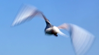 Der Deutsche Wetterdienst kündigt für die nächsten Tage weiterhin blauen Himmel im Freistaat an. (Symbolbild) (Foto: Karl-Josef Hildenbrand/dpa)
