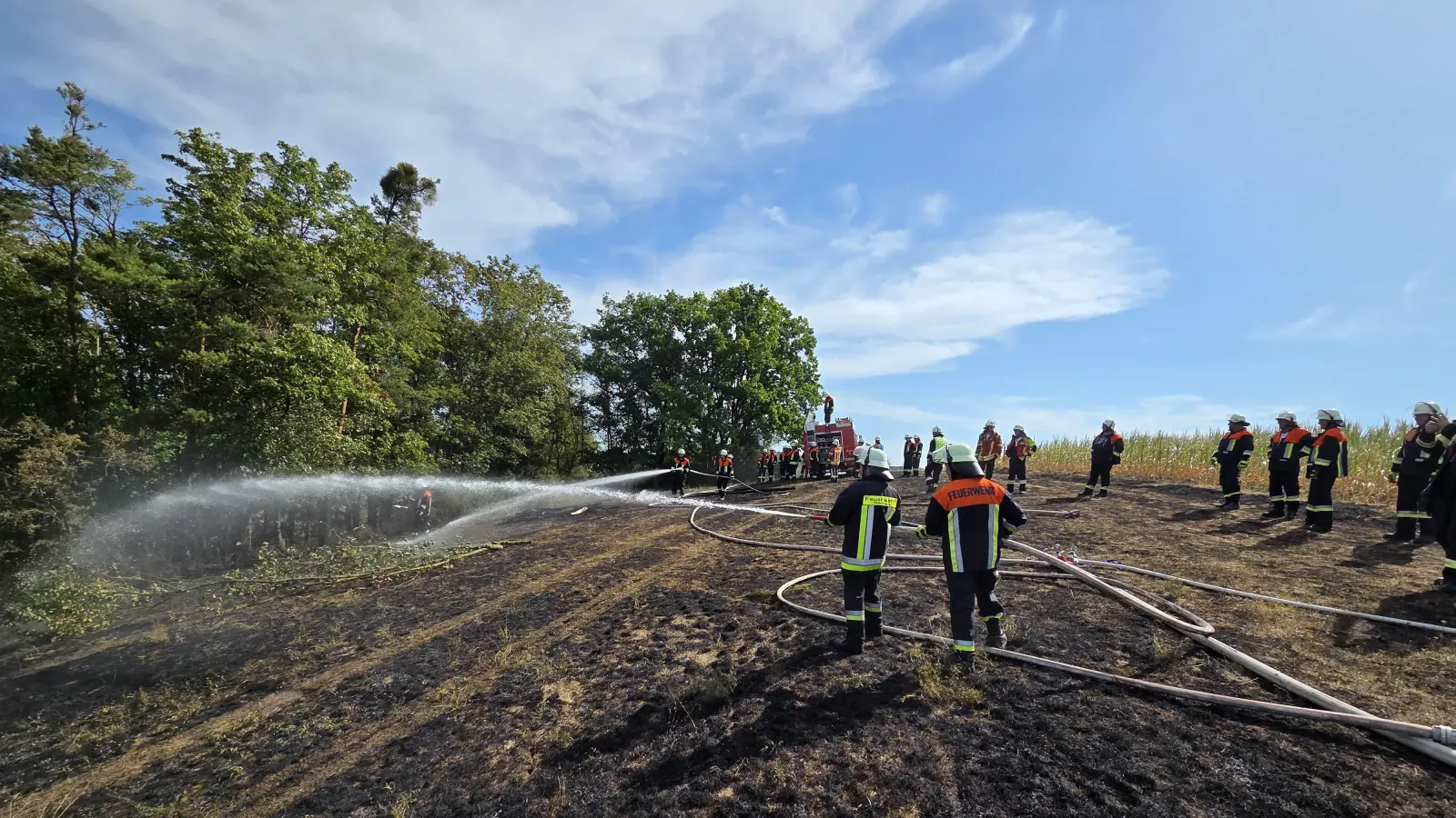 Zahlreiche Einsatzkräfte konnten verhindern, dass das Feuer auf den Wald übergriff. (Foto: Feuerwehr Neustadt)