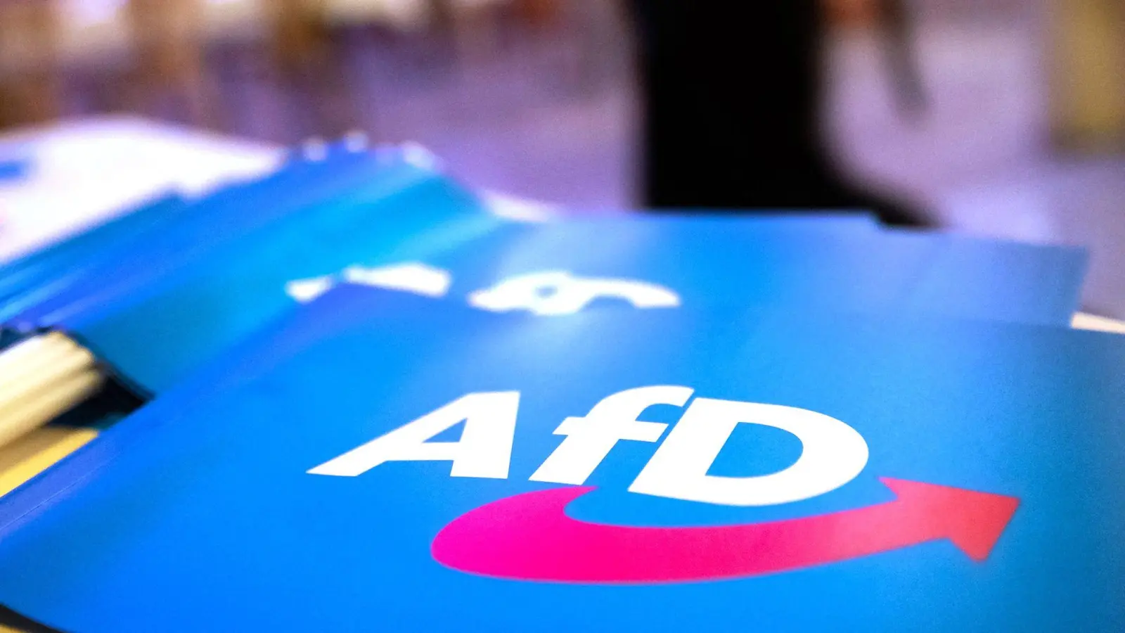 Ein Erlanger AfD-Stadtratskandidat erhielt 9.900 Stimmen - hätte aber gar nicht kandidieren dürfen. (Symbolbild)  (Foto: Daniel Karmann/dpa)