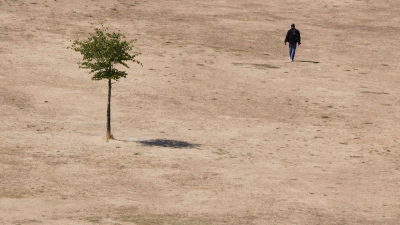 Die Hitzewelle des vergangenen Sommers wirkt sich auch auf die Konjunktur aus. (Symbolbild) (Foto: Kirsty Wigglesworth/AP/dpa)