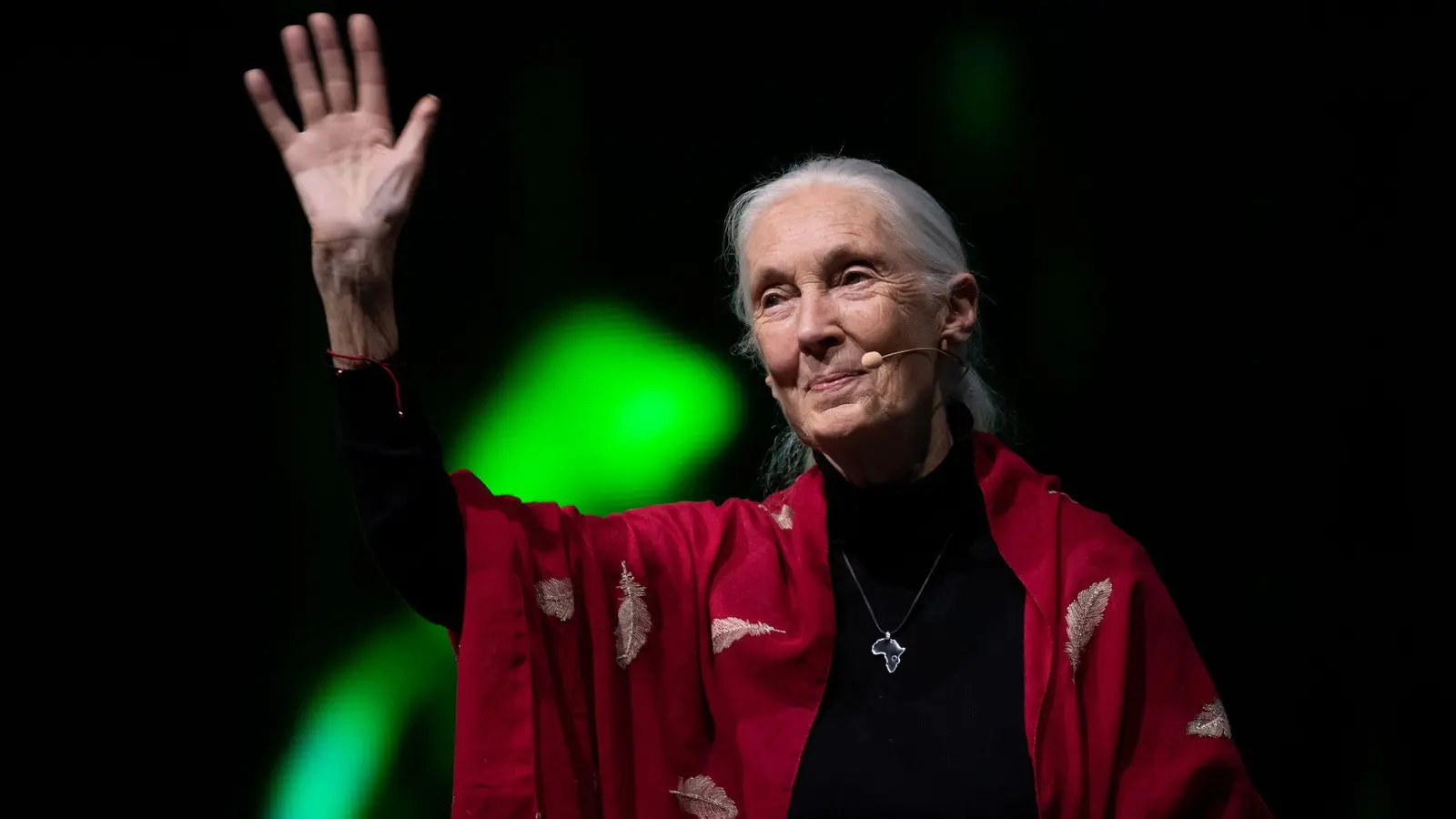 Der Tod der berühmten Schimpansenforscherin Jane Goodall hat weltweit Trauer ausgelöst. (Archivbild) (Foto: Sven Hoppe/dpa)