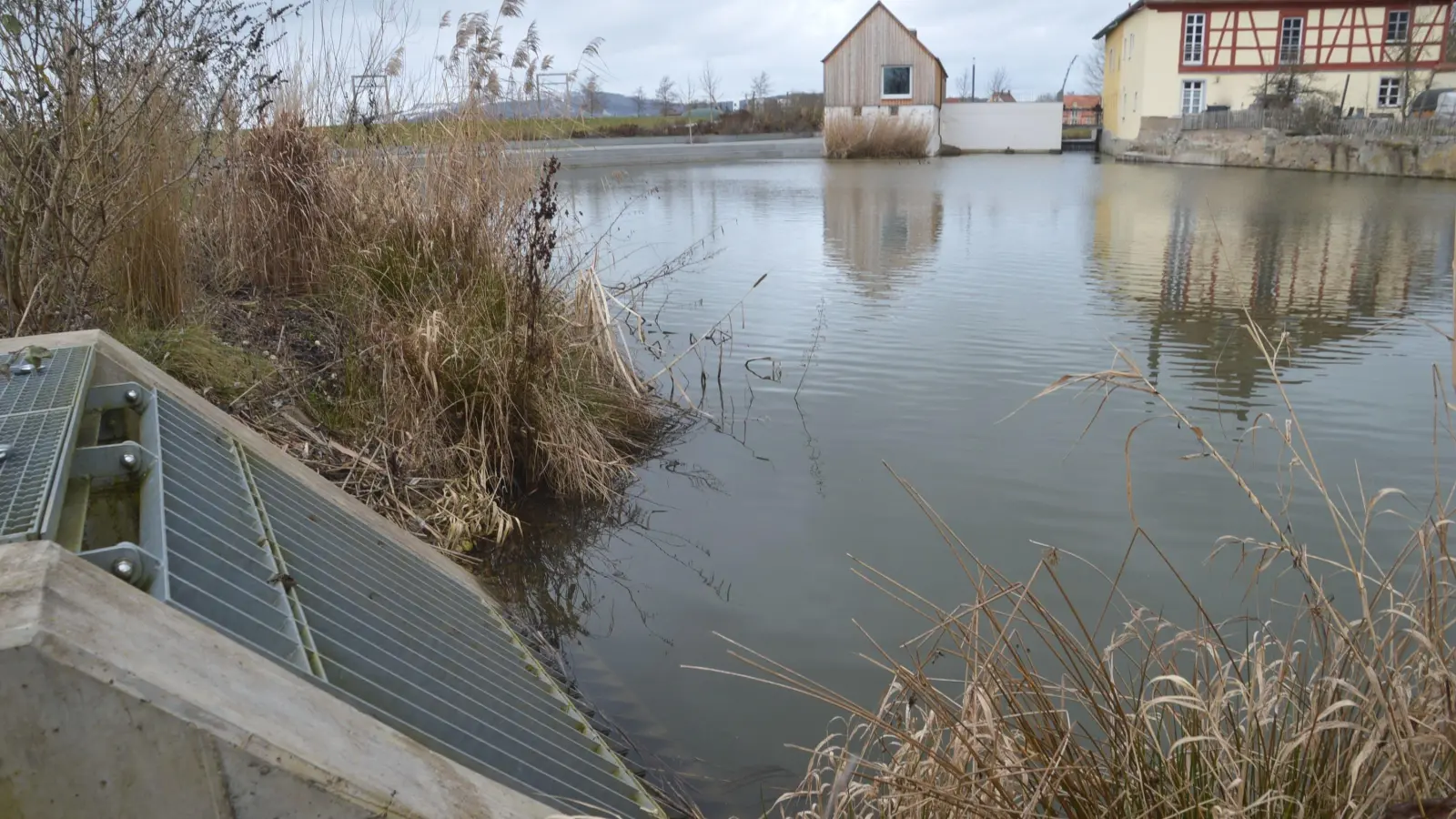 Das Überlaufbauwerk am Mühlweiher gehört zum Wassertrüdinger Hochwasserschutz. Wenn es zu viel regnet, dient es als Rückhaltung. Über dieses Bauwerk wird das Wasser in die Wörnitz abgeleitet. (Foto: Peter Tippl)