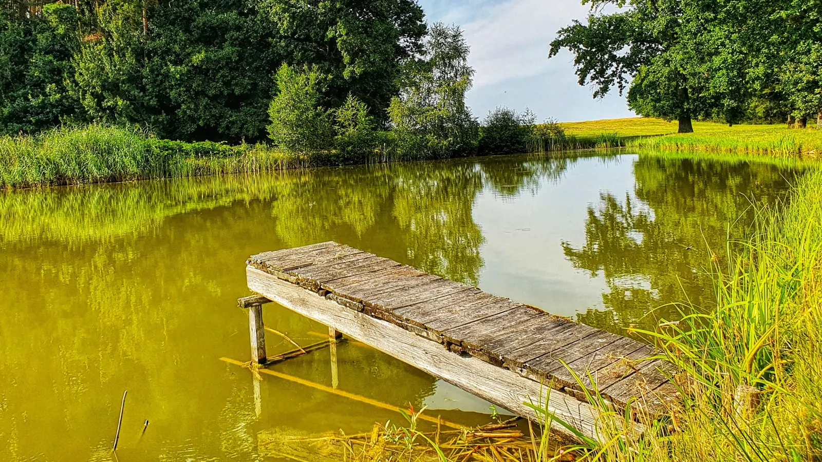 Weiheridylle - gesehen beim Krummweiher. (Foto: Uwe Chszaniecki)