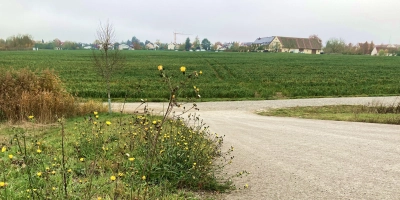 Westlich der Süd-Ost-Tangente, also in Richtung Stadt, will sich die BayWa ansiedeln. (Foto: Clarissa Kleinschrot)