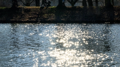 Wasser ist lebenswichtig für Menschen, Tiere und Kleinstorganismen. (Archivbild) (Foto: Hendrik Schmidt/dpa)