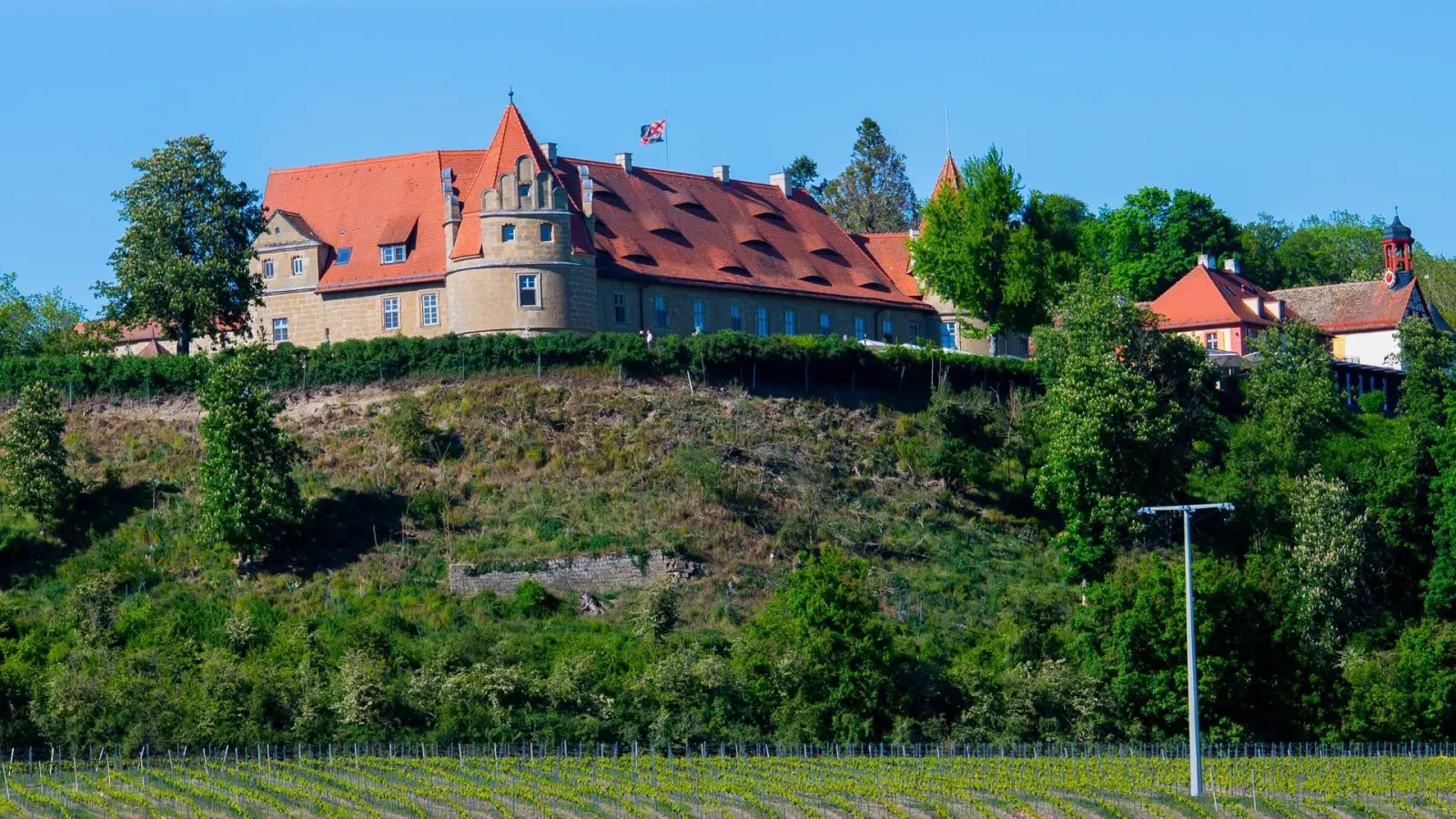 Zur linken Seite hin, bei dem markanten Einzelbaum ist die Umgestaltung geplant. (Foto: René Chlopotowski)