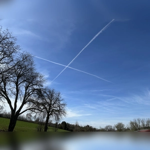 Kreuz und quer - gesehen bei Sinbronn (Foto: Georg Piott)