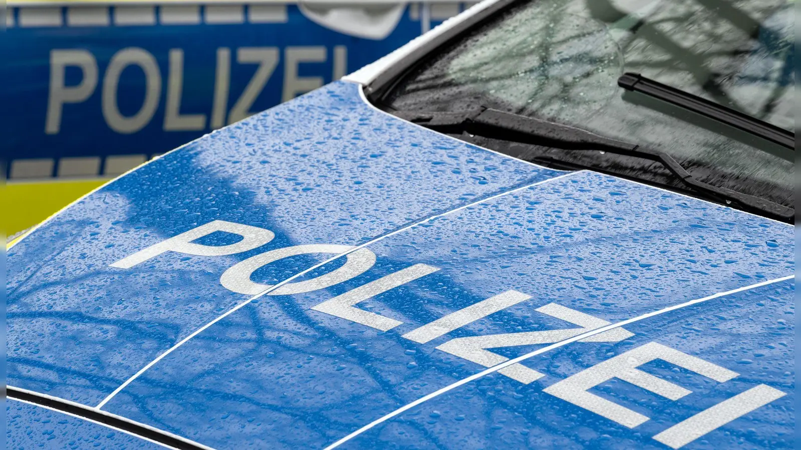 Auf einer Anlage in Unterfranken haben Diebe Solarkabel gestohlen und dabei einen Schaden von mehr als 350.000 Euro verursacht. (Symbolbild) (Foto: Soeren Stache/dpa)