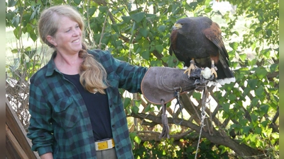 Maria Auer mit einem Wüstenbussard. Die Männchen, in der Fachsprache „Terzel“, sind bei den meisten Greifvögeln kleiner als die Weibchen, dafür sind sie wendiger und flinker. (Foto: Ulli Ganter)