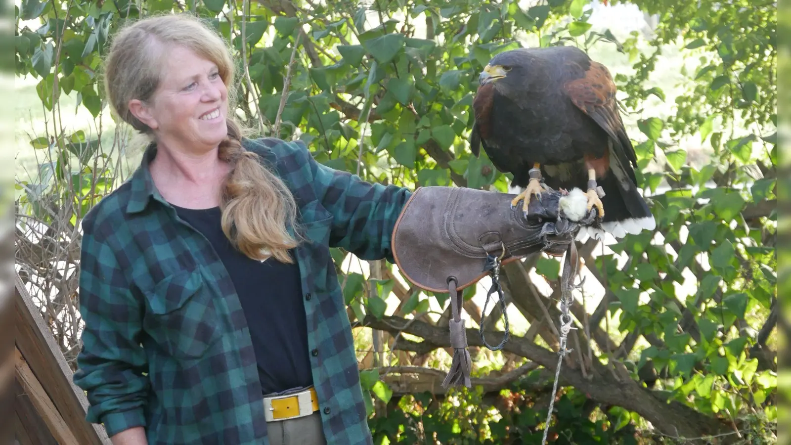 Maria Auer mit einem Wüstenbussard. Die Männchen, in der Fachsprache „Terzel“, sind bei den meisten Greifvögeln kleiner als die Weibchen, dafür sind sie wendiger und flinker. (Foto: Ulli Ganter)