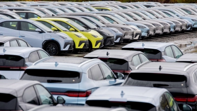 Aus China importierte Elektroautos in Wilhelmshaven. Der Druck der chinesischen Industrie auf ihre deutsche Konkurrenz wächst beständig. (Symbolbild) (Foto: Hauke-Christian Dittrich/dpa)